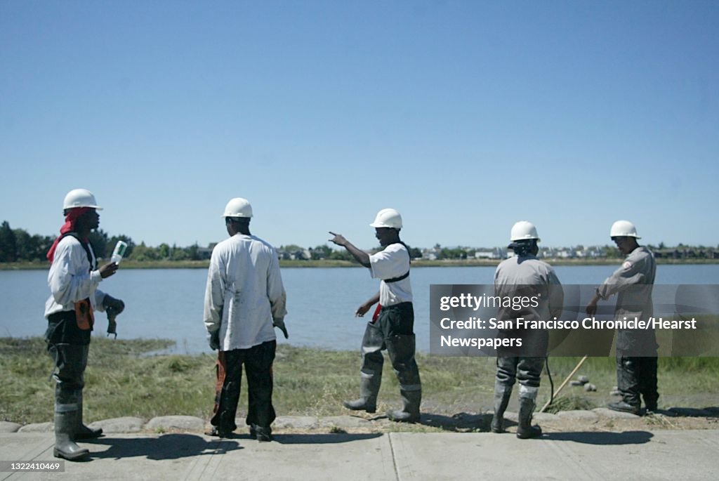Spartinaxx114_ls.JPG From left: Tyrone James, of Oakland; Marcel Mixon, 20 of Oakland; Damon Hartley, 18 of Oakland; Kayla Bell, 18 of Berkeley and David Curiel, 20 of Oakland. The crew from the The East Bay Conservation Corp looks over the si
