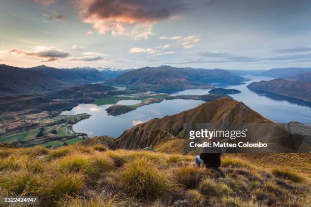 man looking at landscape with lake and mountains, new zealand - people new zealand stock-fotos und bilder