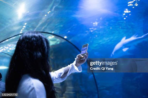 young woman visiting the aquarium - aquarium tunnel stock pictures, royalty-free photos & images