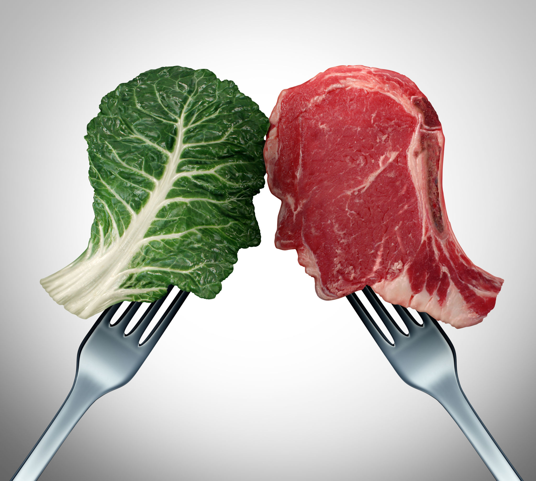 plant based meat