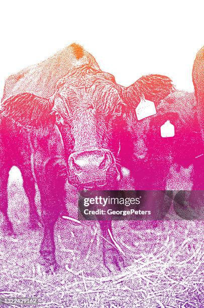 group of cattle - angus stock illustrations