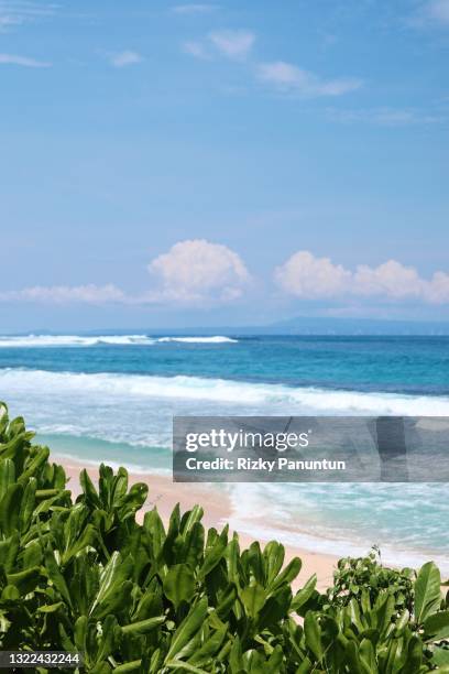 nusa dua beach - nusa dua stockfoto's en -beelden