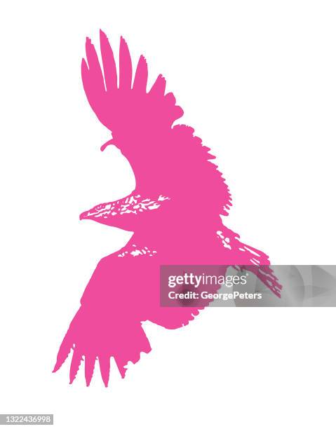 silhouette des bald eagle fliegen - steinadler stock-grafiken, -clipart, -cartoons und -symbole