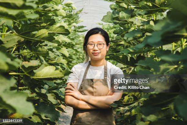 asian female farmer/agronomist standing with arm crossed smiling and looking at the camera in a greenhouse - farmer female confident stock-fotos und bilder