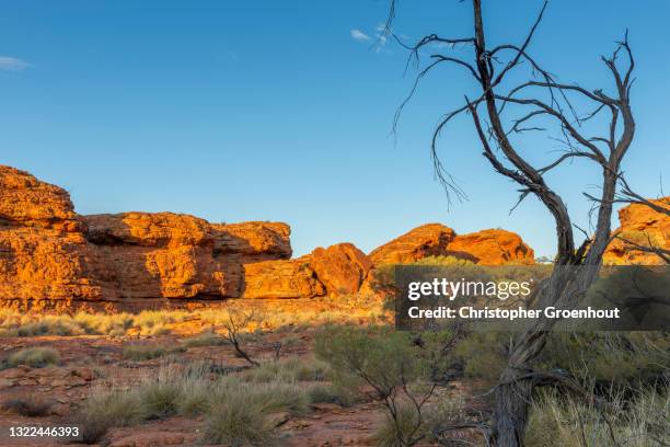 sandstone domes at kings canyon in the northern territory - kings canyon fotografías e imágenes de stock