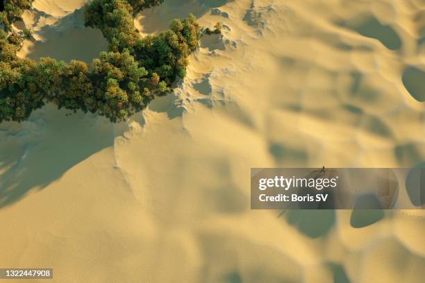 finding oasis - desert oasis stock pictures, royalty-free photos & images