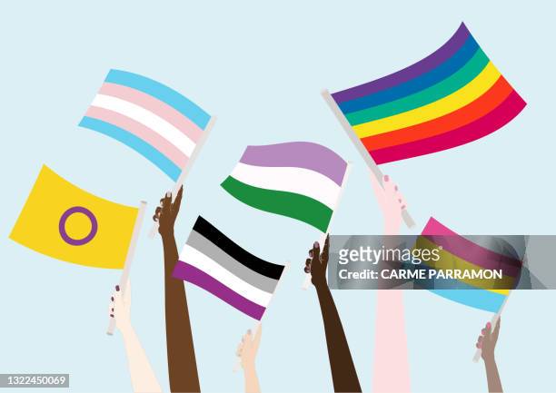 stockillustraties, clipart, cartoons en iconen met vlaggen lgbtqia. de maand van de trots - homocultuur