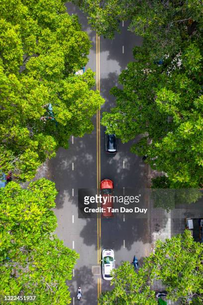 ho chi minh city - tree-lined streets - aerial view - ho chi minh city 個照片及圖片檔