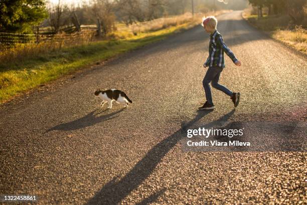 canada, ontario, boy following cat on rural road at sunset - shadow following stock pictures, royalty-free photos & images