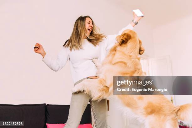 italy, young woman playing with dog at home - retriever jump stock pictures, royalty-free photos & images