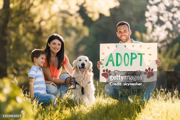 adopt a pet, don't buy it! - adoption stock pictures, royalty-free photos & images
