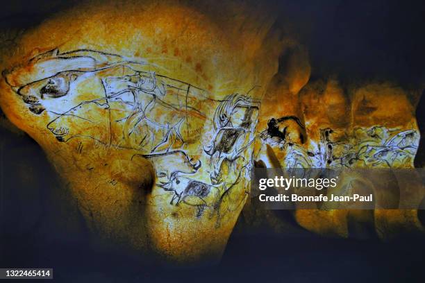 l'intégralité de la principale fresque de la grotte chauvet-pont d'arc - prehistoric man fotografías e imágenes de stock