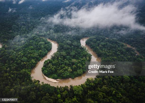 amazon rainforest, ecuador - ecuador 個照片及圖片檔