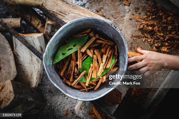 ayahuasca preparation - ayahuasca stock pictures, royalty-free photos & images