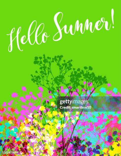 hello summer! - babys breath stock illustrations