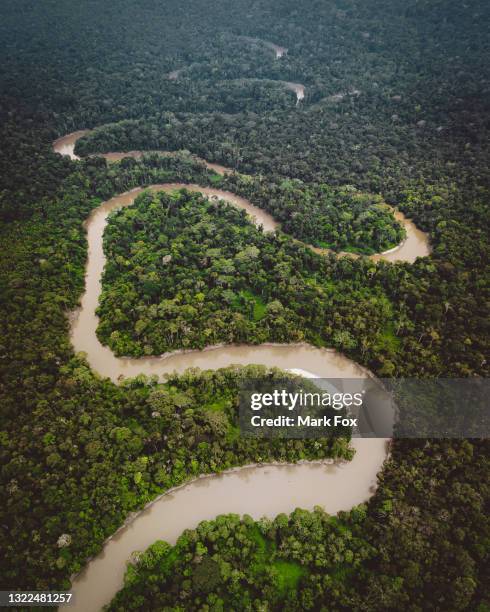 amazon river bends - amazone stockfoto's en -beelden