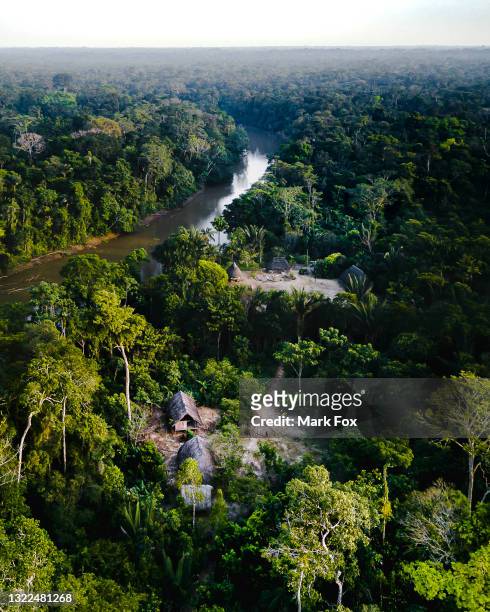 amazon indigenous community - foret amazonienne photos et images de collection