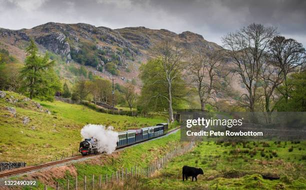 steam train in the mountains - copeland cumbria stock pictures, royalty-free photos & images