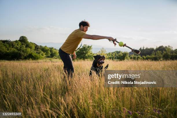 mon meilleur et fidèle ami de tous les temps - chien et maitre photos et images de collection