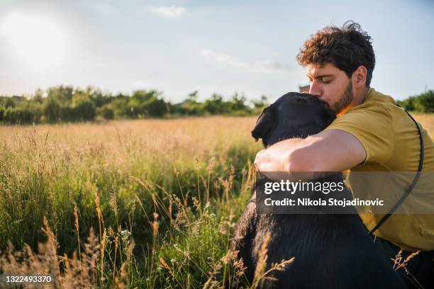 man hugs a dog - leaflitter stock pictures, royalty-free photos & images