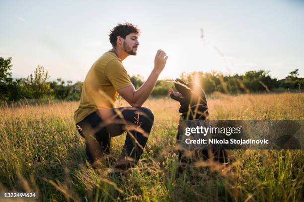 a man trains a dog - dog trainer stock pictures, royalty-free photos & images