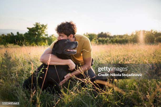 man with dog walking on meadow at sunset - levar cão a passear imagens e fotografias de stock