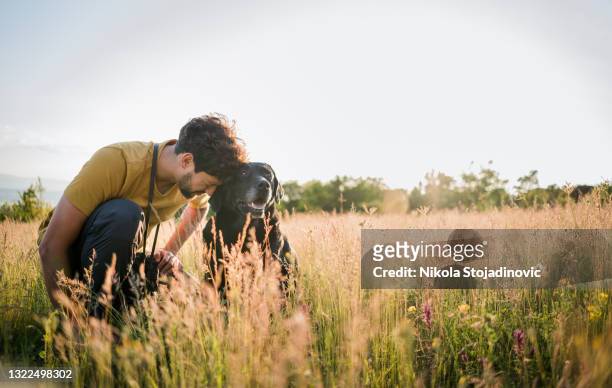 ein mann genießt mit den hunden auf dem feld - mann lässig gras sitzen stock-fotos und bilder