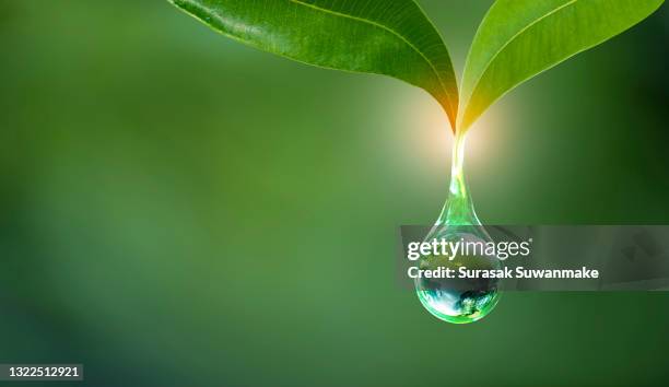 renewable energy concept earth day or environment protection hands protect forests that grow on the ground and help save the world. - water globe stock-fotos und bilder