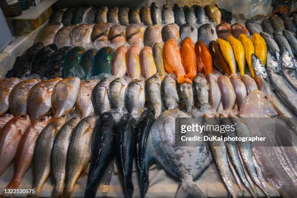 fresh fish in market - fish market stockfoto's en -beelden