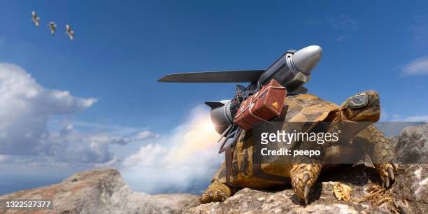 tortoise in goggles with jetpack and luggage strapped to his shell about to take off on vacation - airplane fire stock pictures, royalty-free photos & images