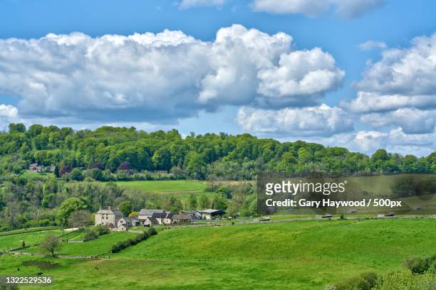 scenic view of trees on field against sky,stroud,united kingdom,uk - stroud gloucestershire stock pictures, royalty-free photos & images