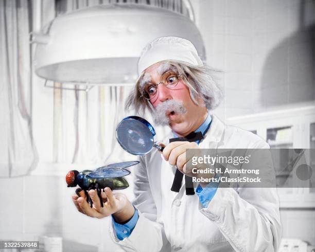1970s Mad Scientist Man Head-On Portrait Of Crazy Entomologist In Laboratory Looking At Giant Fly Insect With Magnifying Glass.