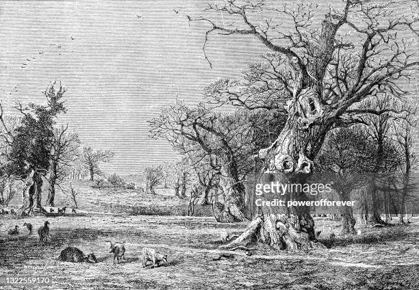 die originale royal oak im boscobel house in staffordshire, england - 18. jahrhundert - day of the dead stock-grafiken, -clipart, -cartoons und -symbole