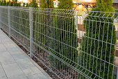 A metal mesh fence encloses a private area. Thuja hedge behind a metal fence. Steel grill. Fence with wire. Fencing.