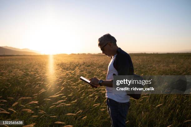 smart farming using modern technologies in agriculture. - holding smart phone stock pictures, royalty-free photos & images