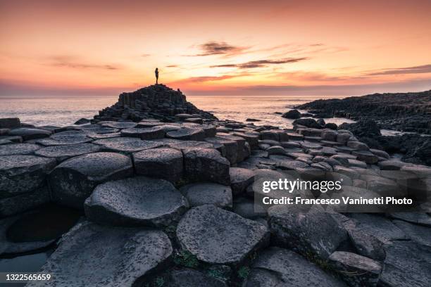 tourist at the giant's causeway, northern ireland, uk. - giant's causeway stockfoto's en -beelden