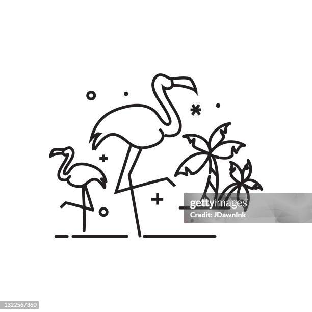 ilustraciones, imágenes clip art, dibujos animados e iconos de stock de black summer tropical palm tree and flamingos thin line icon set - trazo editable - flamenco rosa