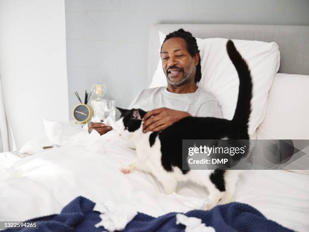 shot of a senior man petting his adorable cat while recovering from an illness in bed at home - hairy back man stock pictures, royalty-free photos & images