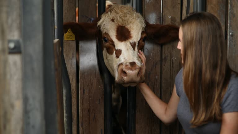 3,906 Women Doing Farm Animals Videos and HD Footage - Getty Images 3,906 Women Doing Farm Animals Videos and HD Footage - Getty Images