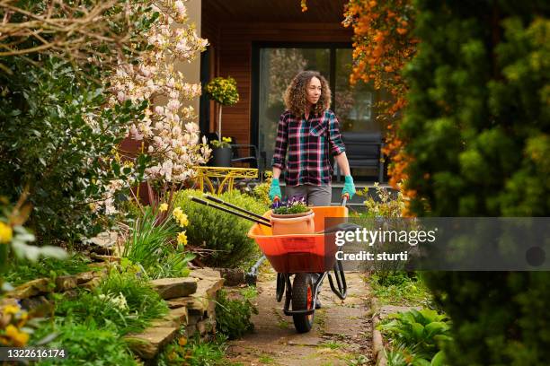 dag in de tuin - gardener stockfoto's en -beelden