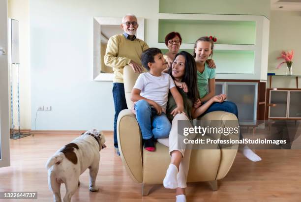 cheerful large family at home is enjoying time together in the living room of their comfortable apartment with their dog. - chinese bulldog stock pictures, royalty-free photos & images