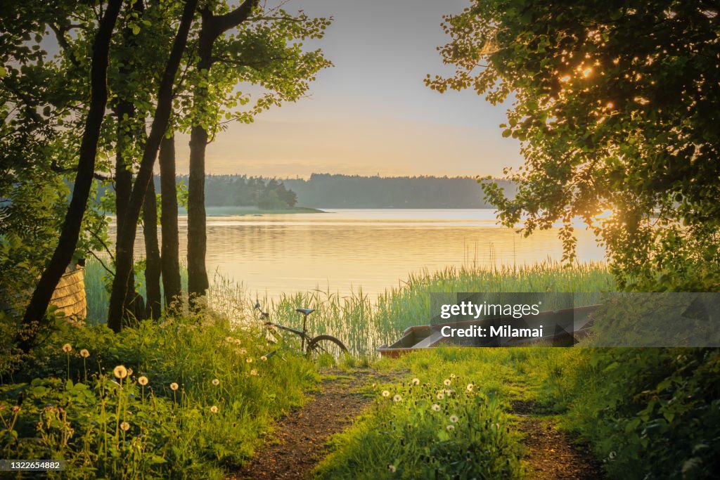 A bike, a rowboat and dandelions at the beach at sunset. Summer evening at Ruissalo, Turku, Finland. Landscape and Travel Photography.