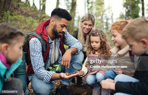 group of school children with teachers in nature, learning outdoors. - biodiversidad fotografías e imágenes de stock