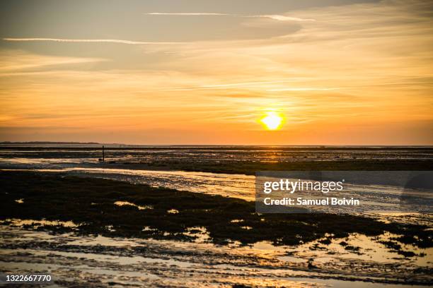 sunset in the estuary of the baie de somme at le crotoy as the water recedes due to low tide, revealing the flora and sand, as well as the reflection of the clouds in the sky - le crotoy stock pictures, royalty-free photos & images