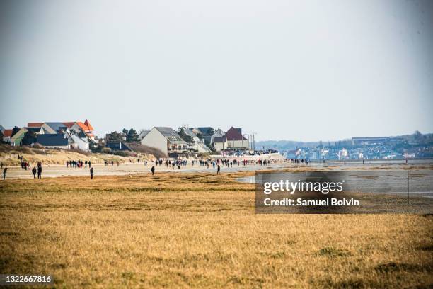 tourists walk along the estuary of the baie de somme at le crotoy as the water recedes with low tide, the marine flora and sand appear against an orange sky - baie de somme stock-fotos und bilder