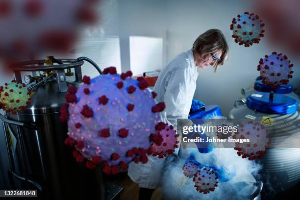 scientist removing samples from storage tank of liquid nitrogen - dry ice storage stock pictures, royalty-free photos & images