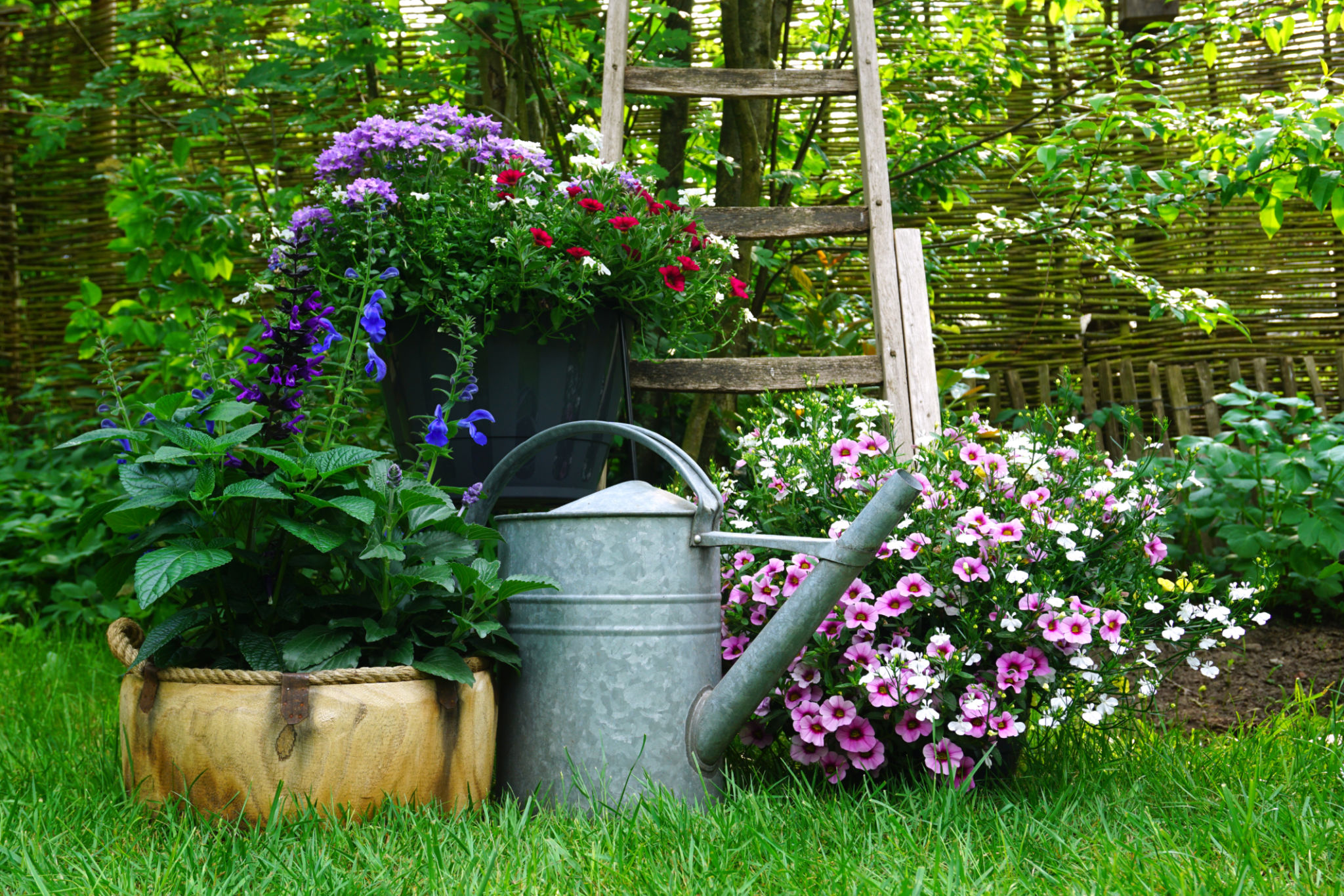 summer garden planning