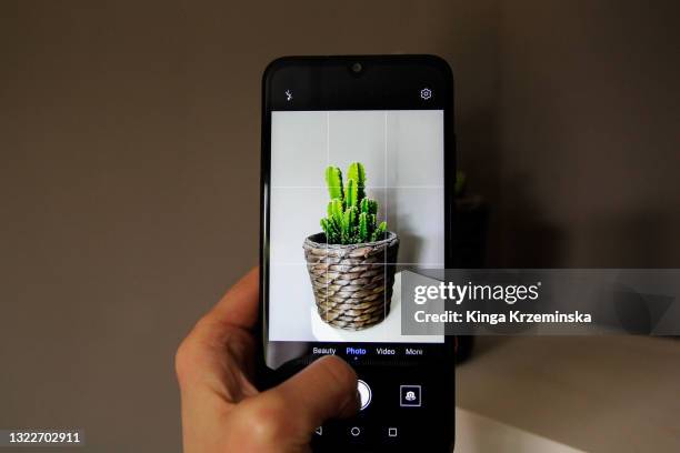 taking photo of a plant - smart phone camera stock pictures, royalty-free photos & images