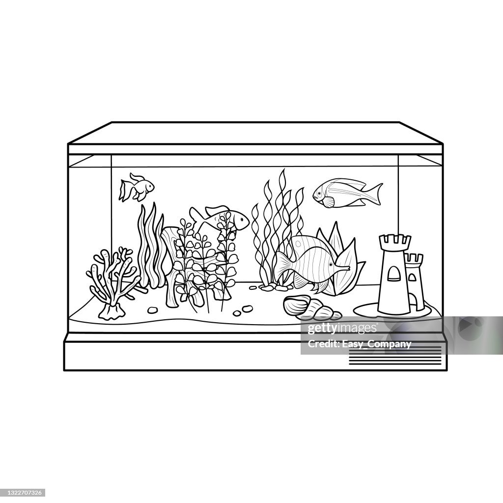 Schwarz und weiß Fisch Tank oder Aquarium Cartoon Bilder für Kinder Dies ist eine Vektor-Illustration für Vorschule und Heimtraining für Eltern und Lehrer.
