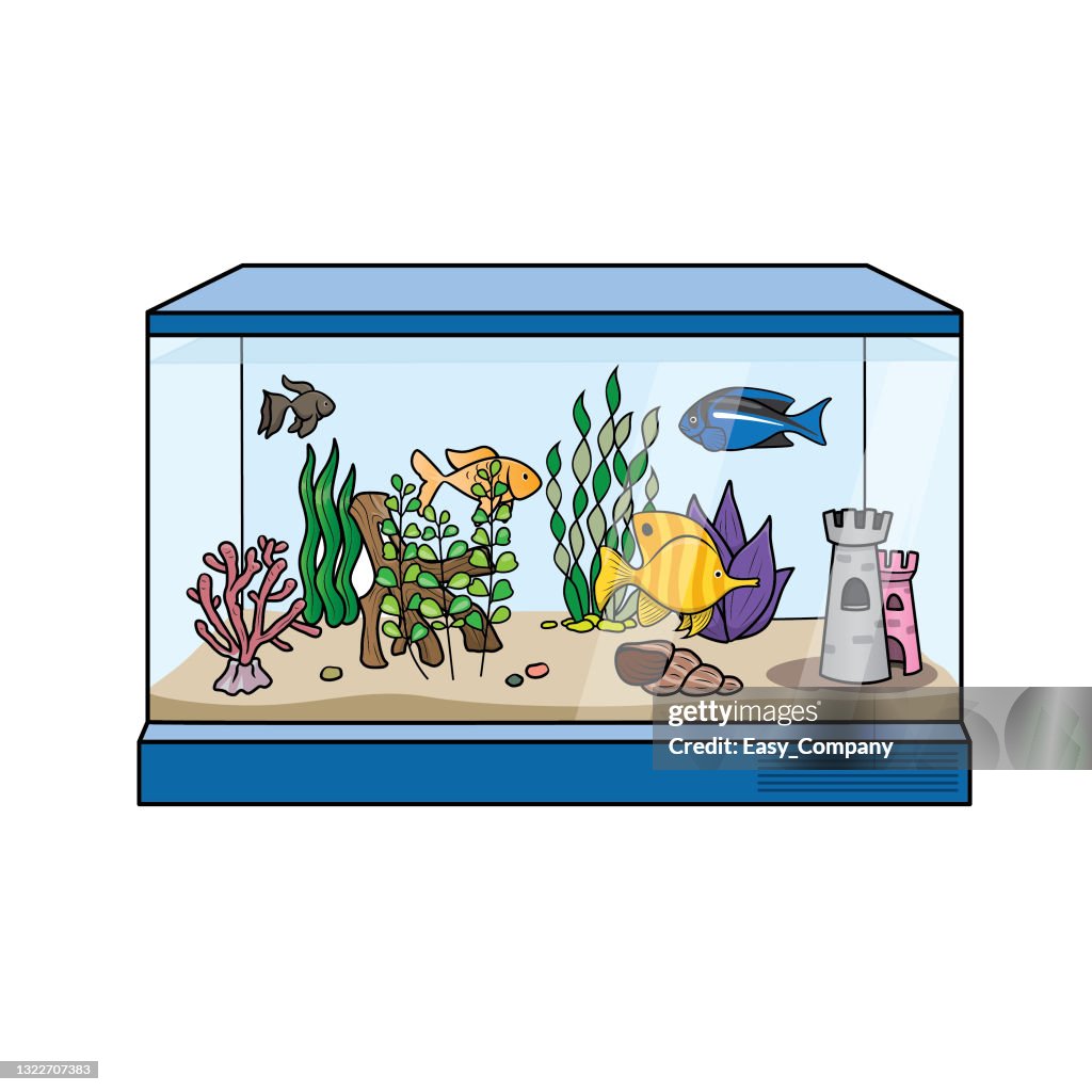 Vector Illustration Of Fish Tank Or Aquarium Cartoon Images For Kids This  Is A Vector Illustration For Preschool And Home Training For Parents And  Teachers High-Res Vector Graphic - Getty Images